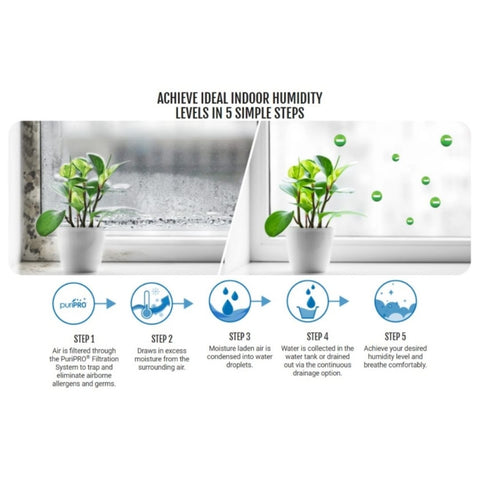 Novita 2-in-1 Dehumidifier ND2000 with HEPA Air Purification