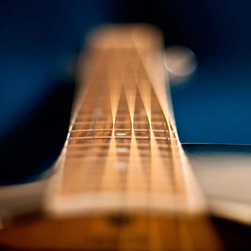 Dry Cabinet for Guitar & Violin