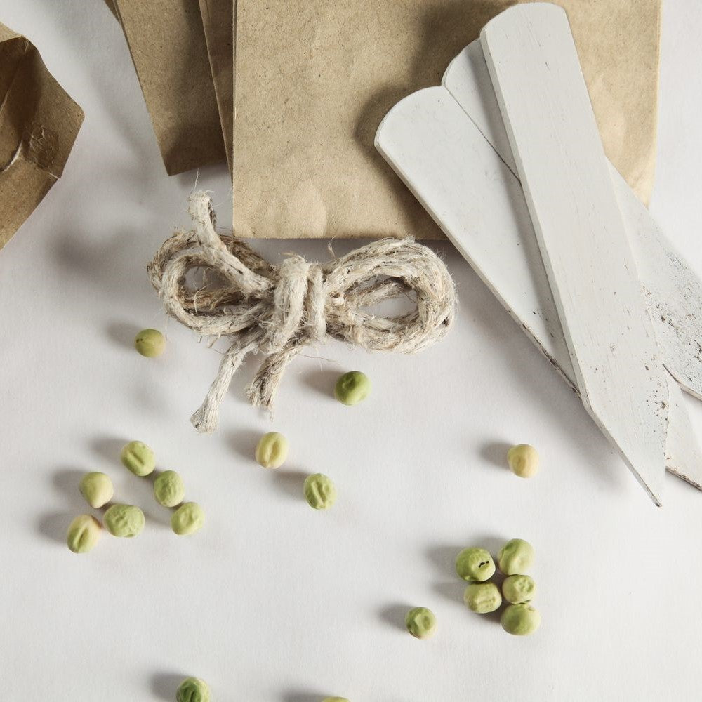 Optimal Seed Storage with Dry Cabinets: Benefits and How It Works