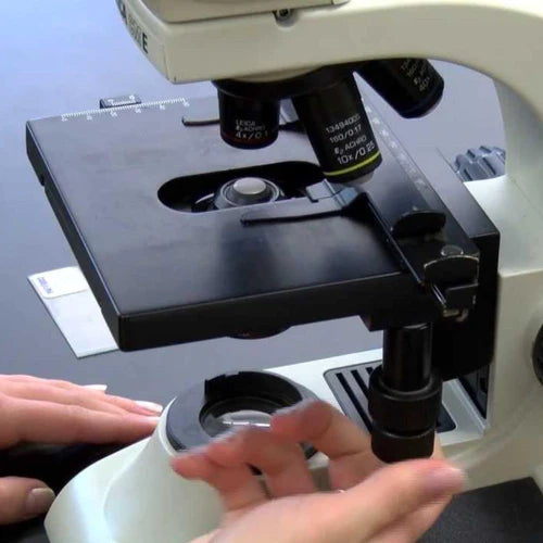 Industrial Dry Cabinet