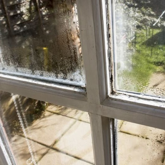 How Humidity Forms, Rises, and Impacts Your Environment