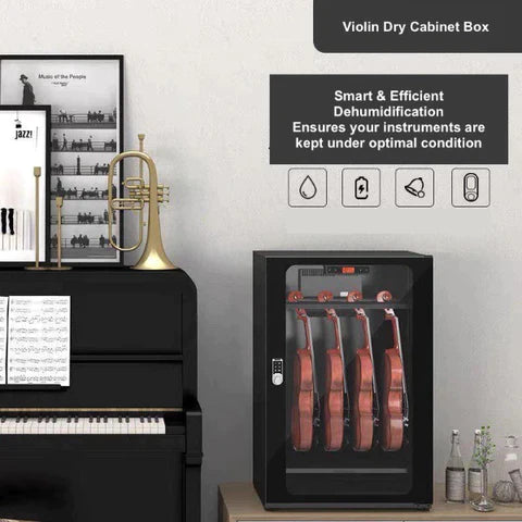 Types of Musical Instruments That Benefit from Dry Cabinets