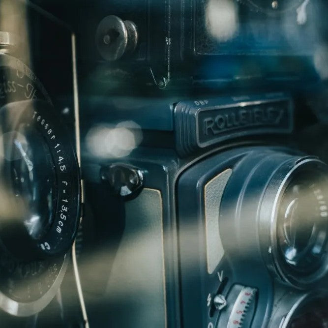 How to Choose the Best Dry Cabinet for Your Needs