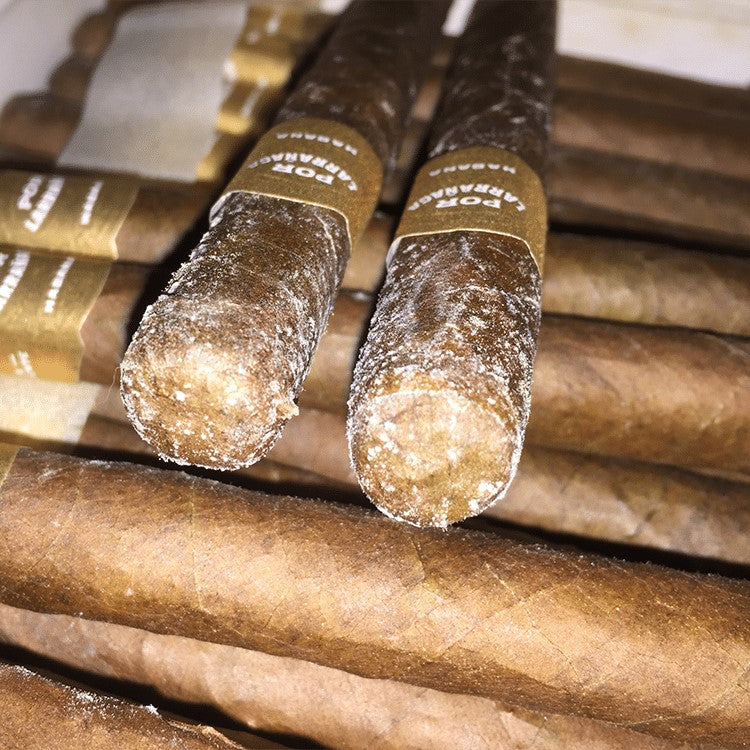 White Spots on Cigars: Causes, Solutions, and Storage Tips