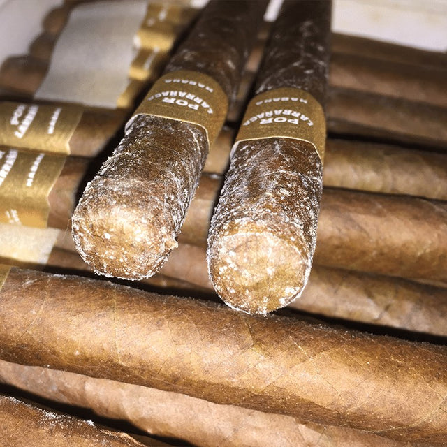 White Spots on Cigars Causes, Solutions, and Storage Tips DryBox SG