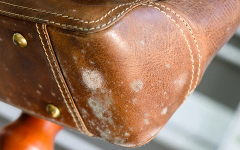 How to identify, clean and prevent mould on handbags