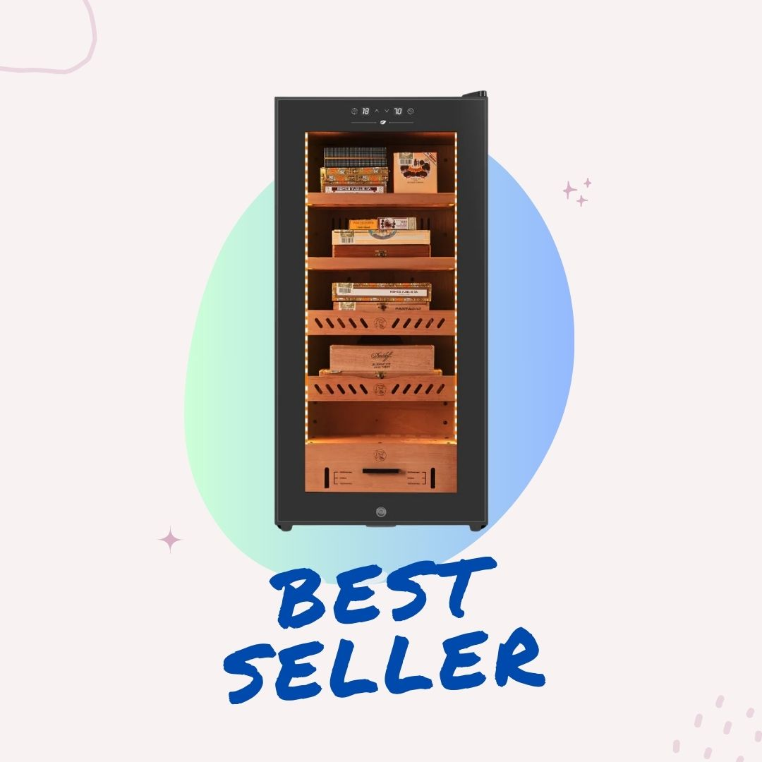 Top Picks