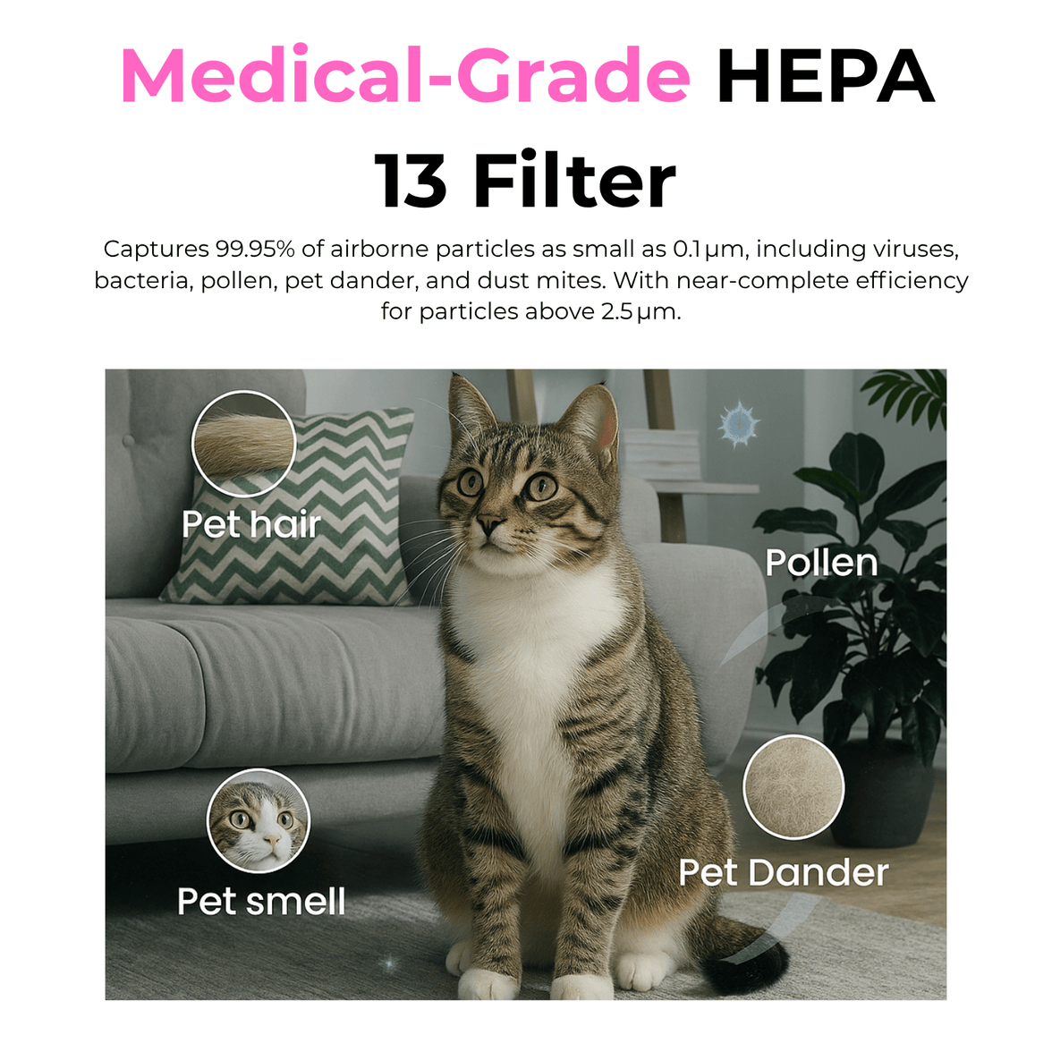 AIRDRY Smart Pro 25L 4-in-1 Dehumidifier + Air Purifier