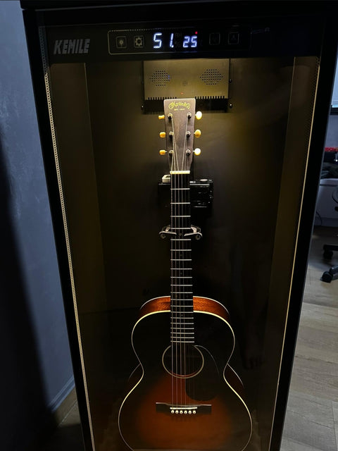 156L Dry Cabinet Box (Guitars)
