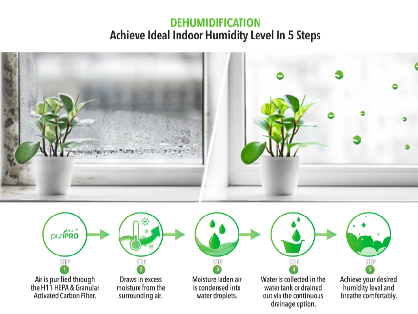 Novita Dehumidifier + Air Purifier 2-In-1 ND 60+